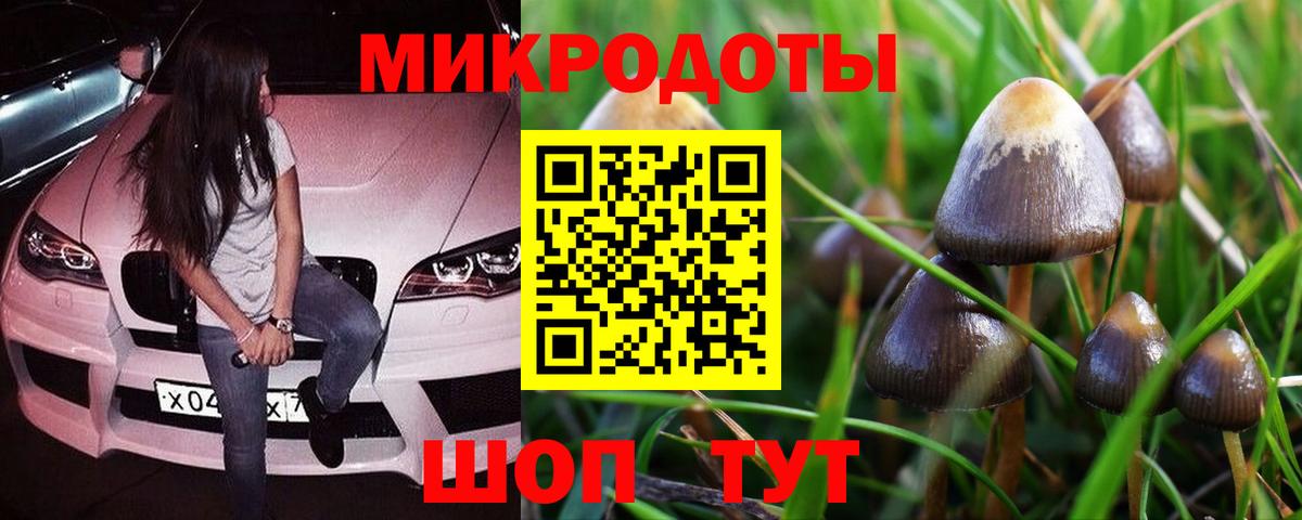 Псилоцибиновые грибы ЛСД Волгоград
